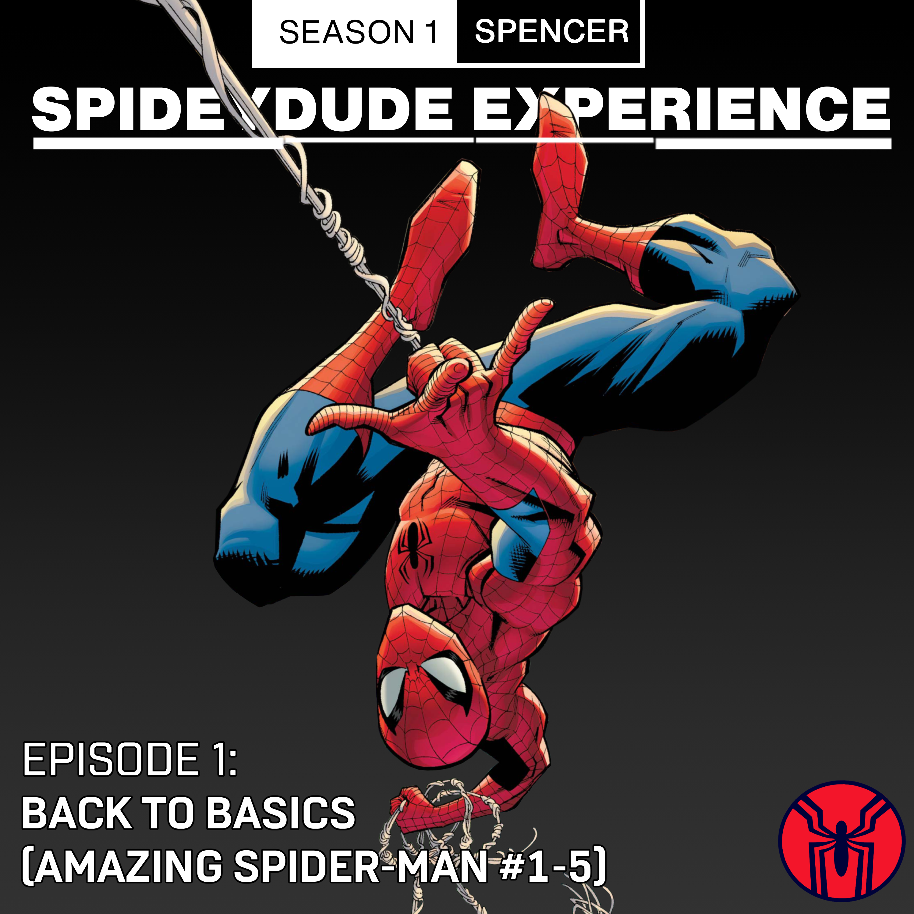 Spidey-dude Experience