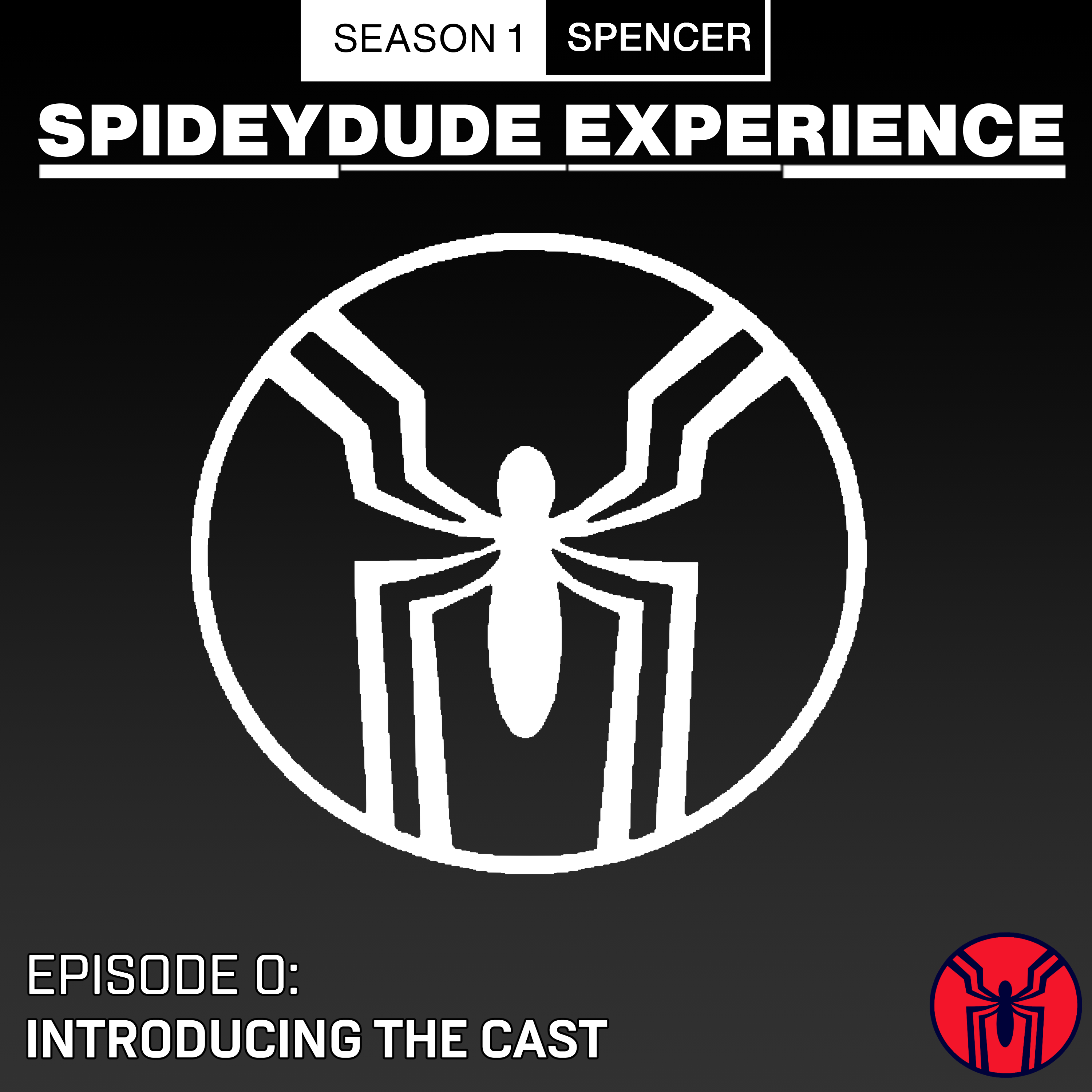 Spidey-dude Experience