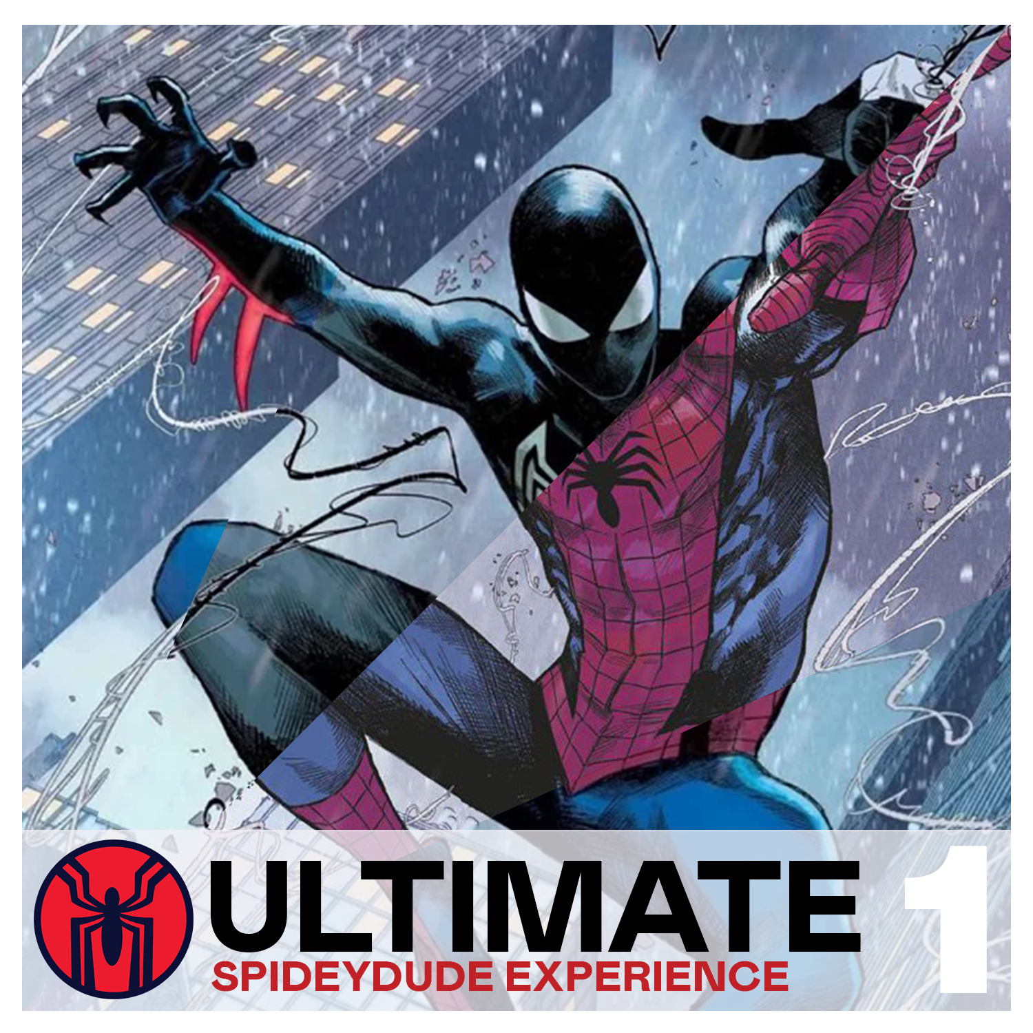 Spidey-dude Experience