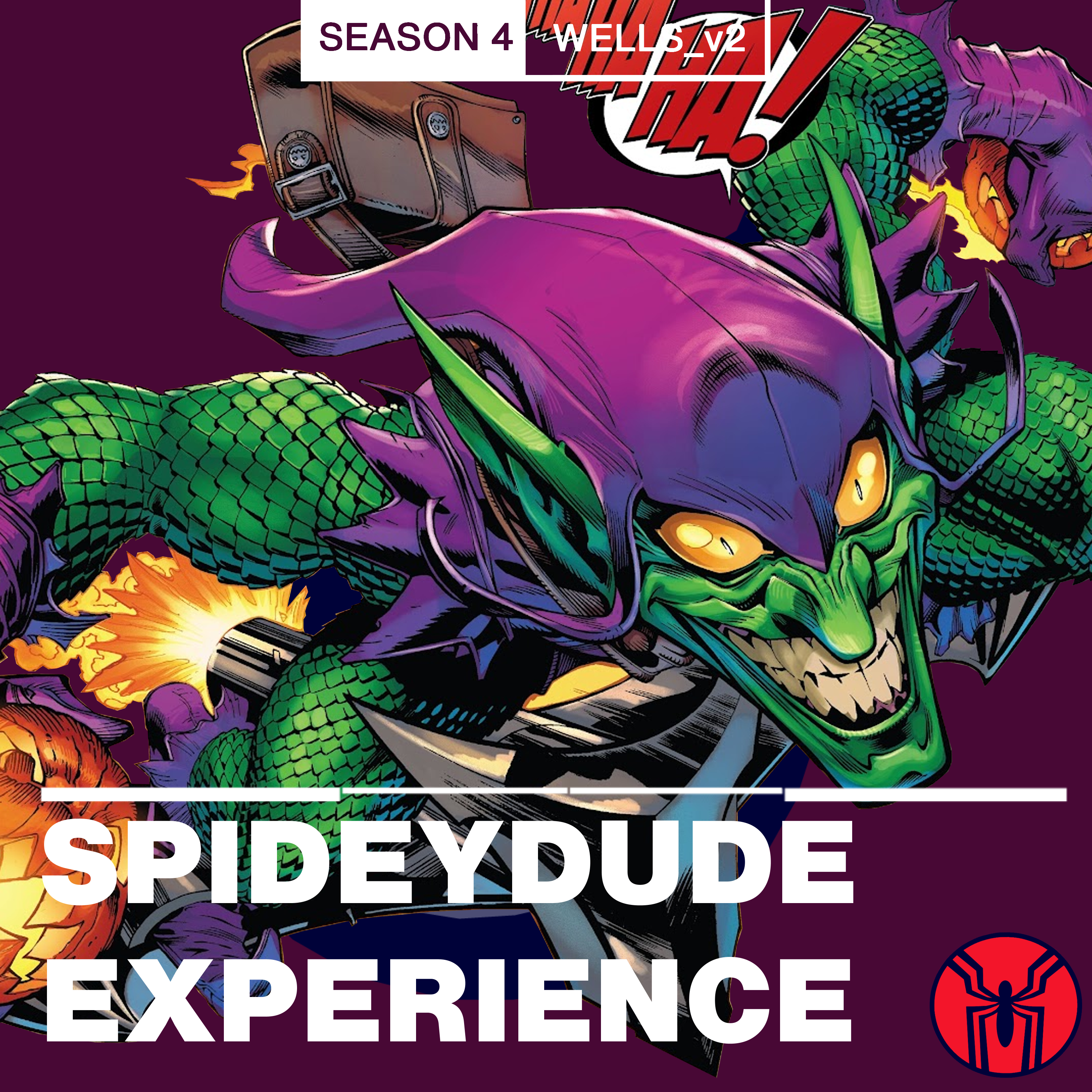 Spidey-dude Experience