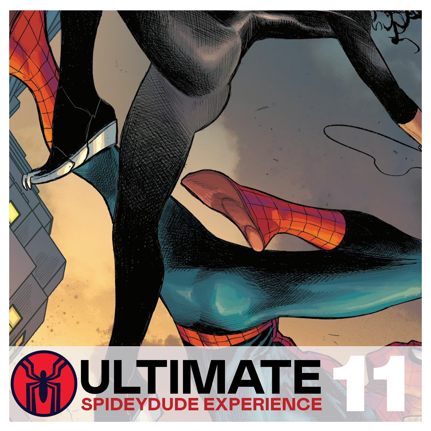 Spidey-dude Experience