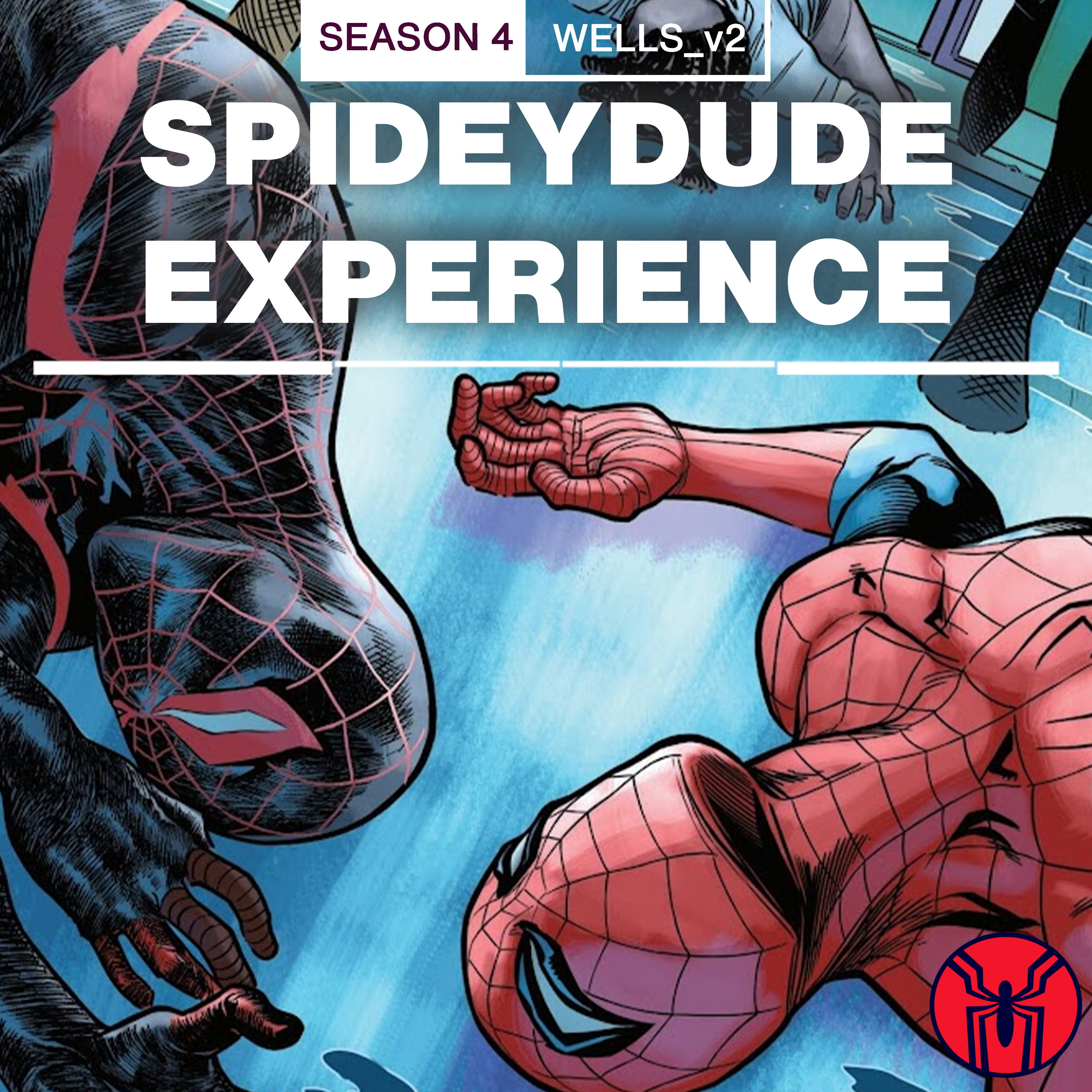 Spidey-dude Experience